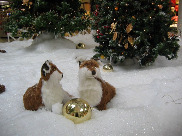 christmas 2005 022.jpg